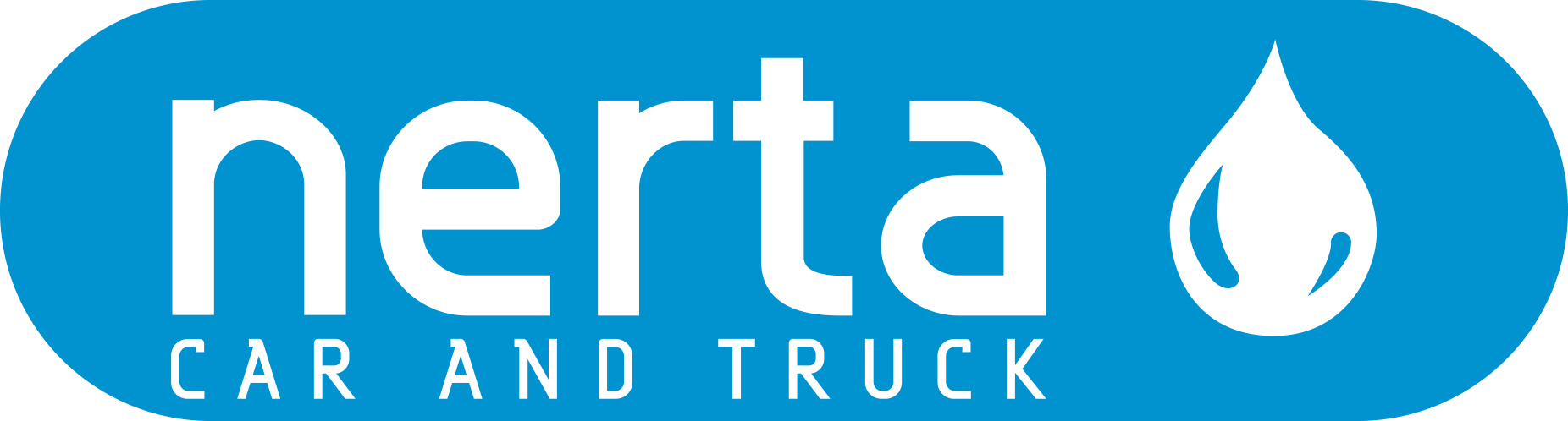 Logo Nerta - Produits professionnels de nettoyage automobile